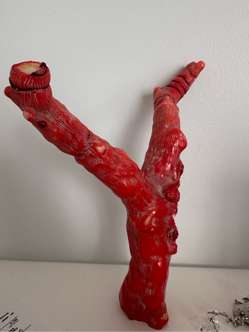 Large Coral Branch
